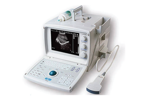 Ultrasound Black White basic portable 9.7" LCD monitor 1 convex probe battery